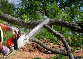 Lawn Irrigation Installation and Maintenance in Southside, AR