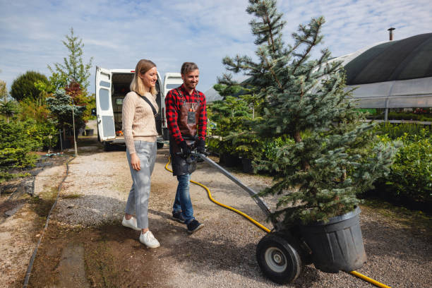 Best Fruit Tree Pruning  in Southside, AR